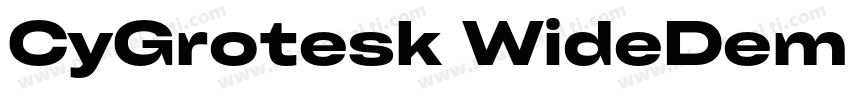 CyGrotesk WideDemi字体转换
